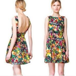Zara Multicolor Backless Floral Dress